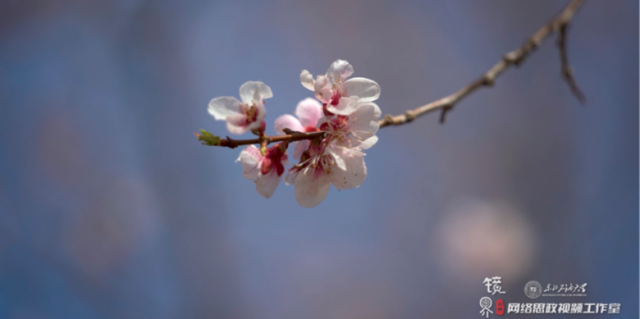 �m�t�������ǖ|�͡�У�����ͳ��ģ�