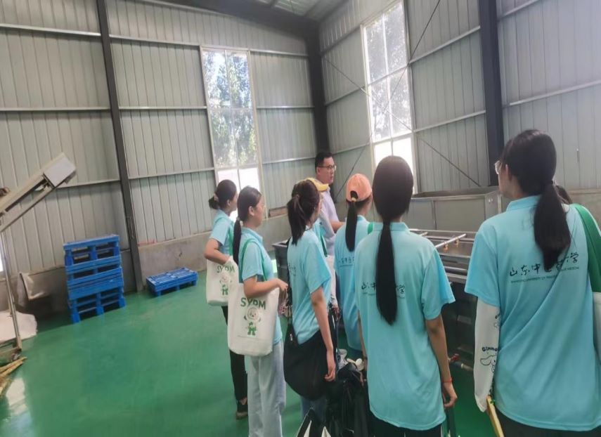 ɽ���t�W���ഺ��Ѫ�����l��У���� �����l��