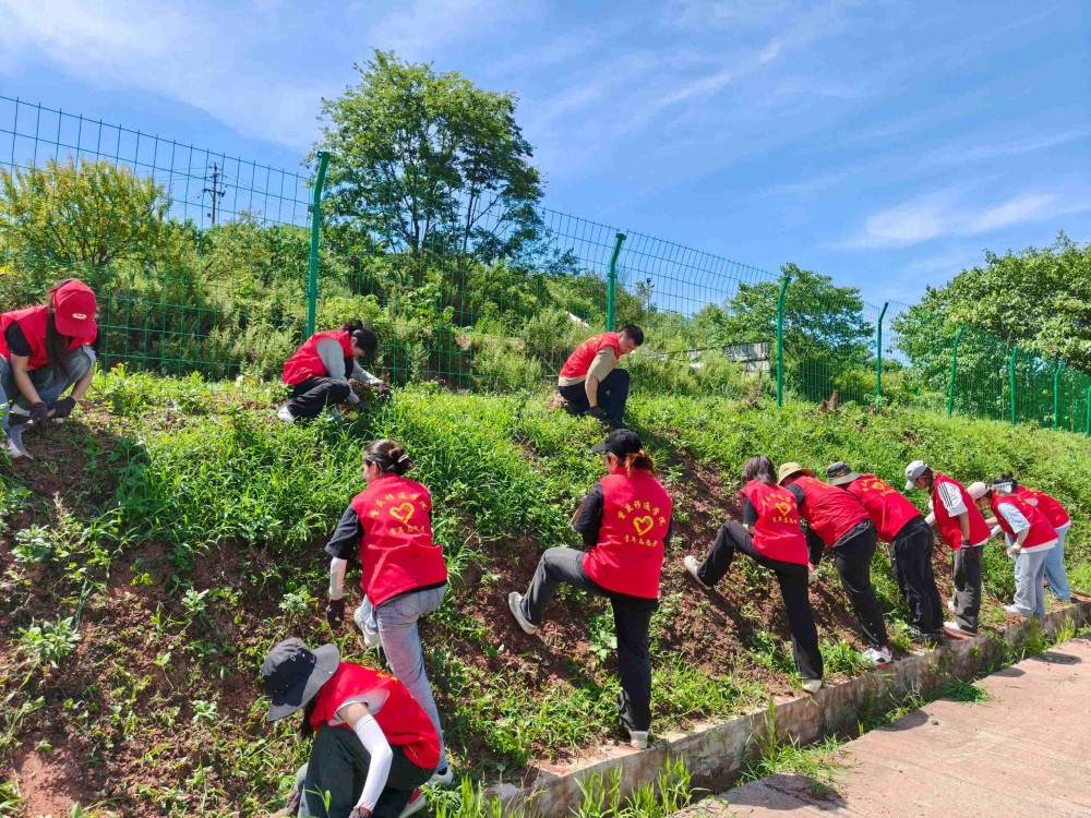 ����(�DƬ��)