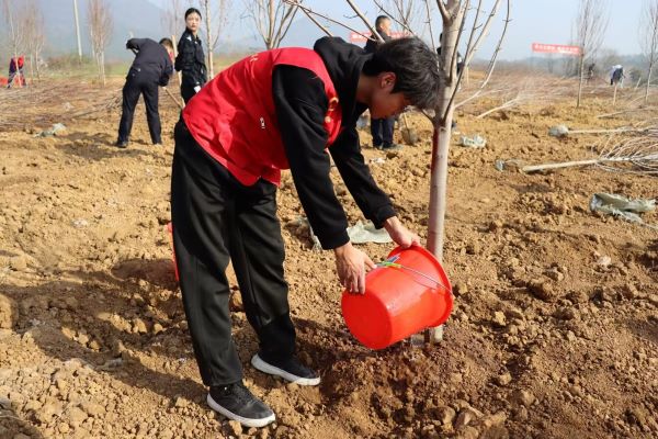 ���h�¸�������ߵ�ֲ����