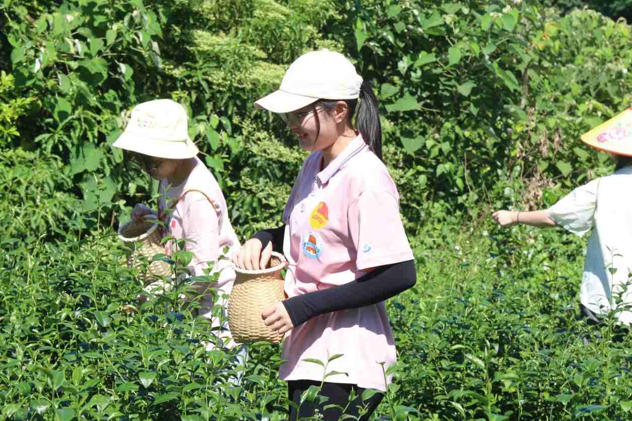 ע�ഺ֮�����r���d�l�塪���X���������ڷ��l���`