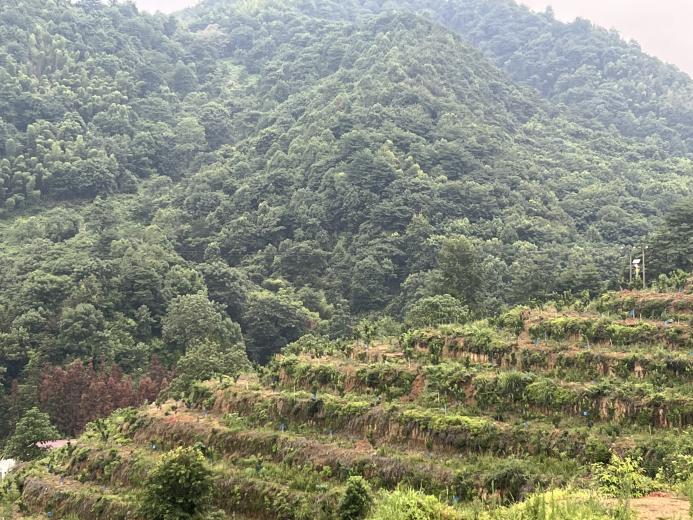 �������D�����d�������h���̰lչ