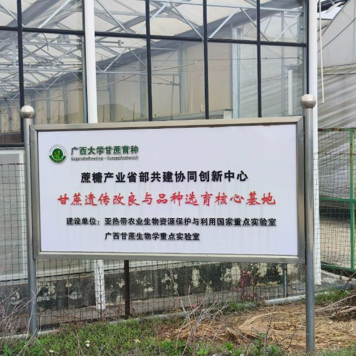 �����з����h���ǰlչ�y�}�{�У������ۮa�I�� �F��Č��`̽��