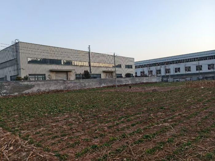 �G̼ʢ�l(xi��ng)�`���� �S�Ӱ�߅̽�l(f��)չ