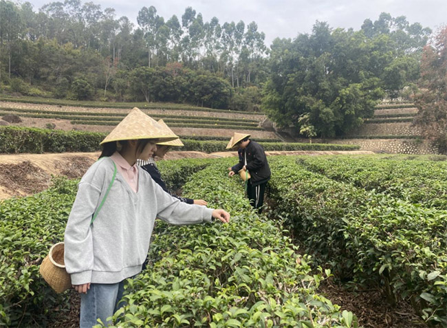 ͬ�ط��z���}����ӳ�}�_���ġ���ӛ�����r(n��ng)�ִ�W(xu��)ֲ�ﱣ�o(h��)�W(xu��)Ժ���ġ��}�_ӳ�t�����z���Z�����`ꠌ��`���