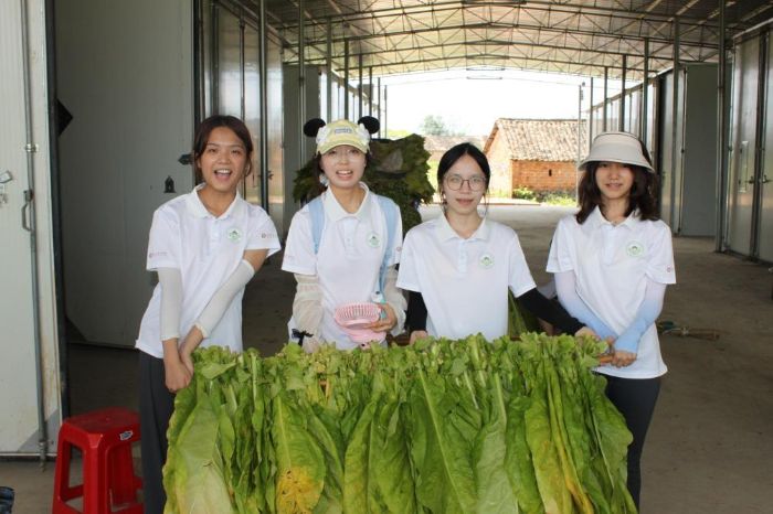 ����������֮�s��̽�l�����d����