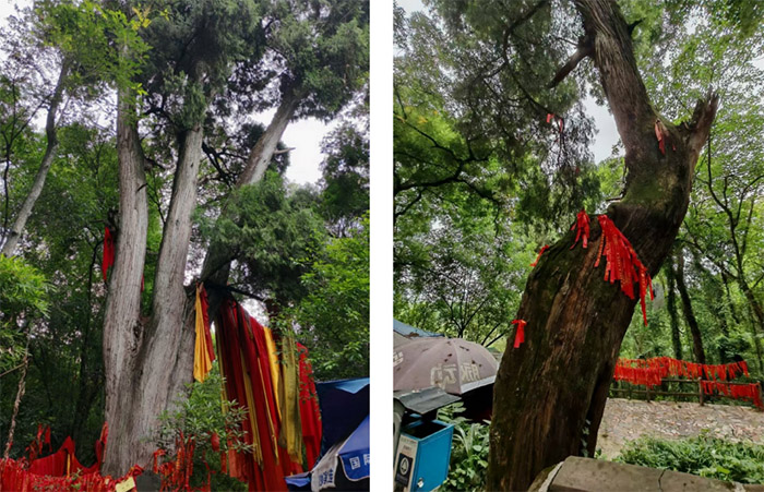 �Ĵ�������W�쌎У�^���{�{���־Ըꠡ������Ř��{��ƪ|��a���¹Ř���׌�ഺ�m�����oƪ��