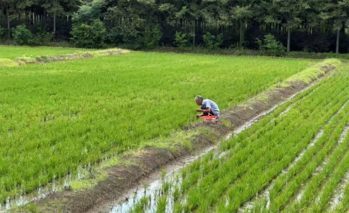 ��(hu��)Ӌ(j��)�W(xu��)Ժ�������ּ�ӛ���F(tu��n)�(du��)�����{(di��o)�����ִ�